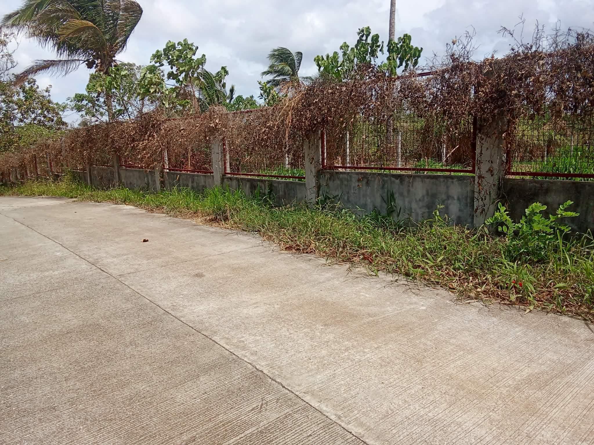 For sale 1,278sqm lot in alfonso cavite — photo 2 of 3