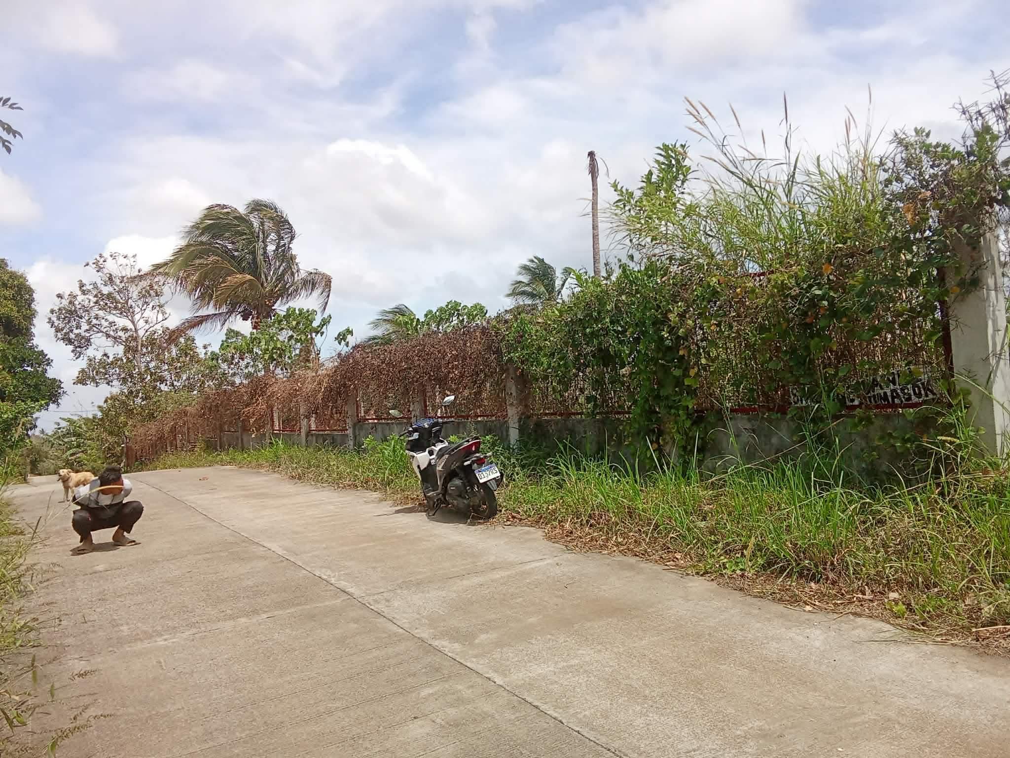 For sale 1,278sqm lot in alfonso cavite — photo 1 of 3