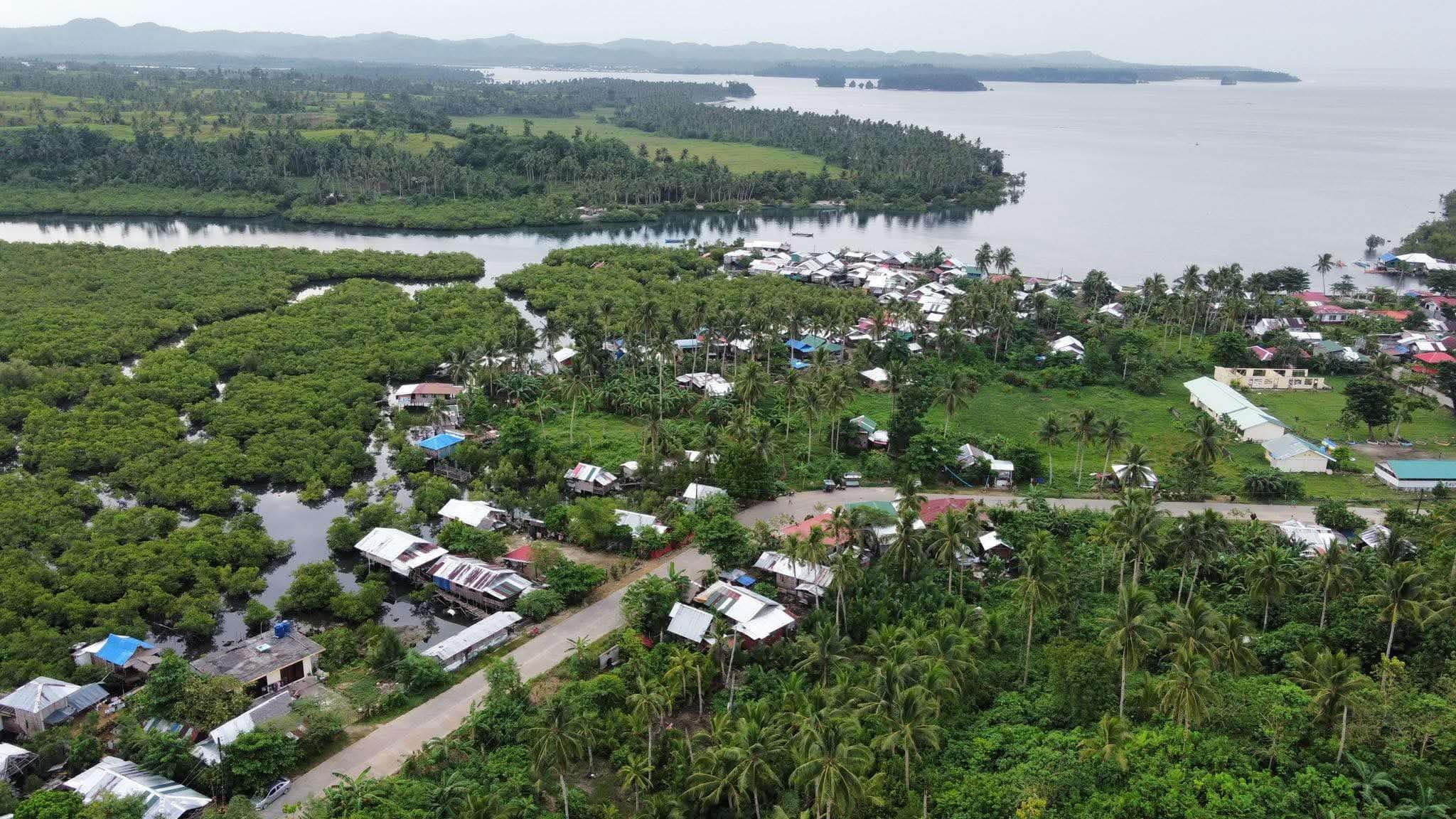 SIARGAO AGRI LAND FOR SALE WITH OCEAN VIEW — photo 2 of 3